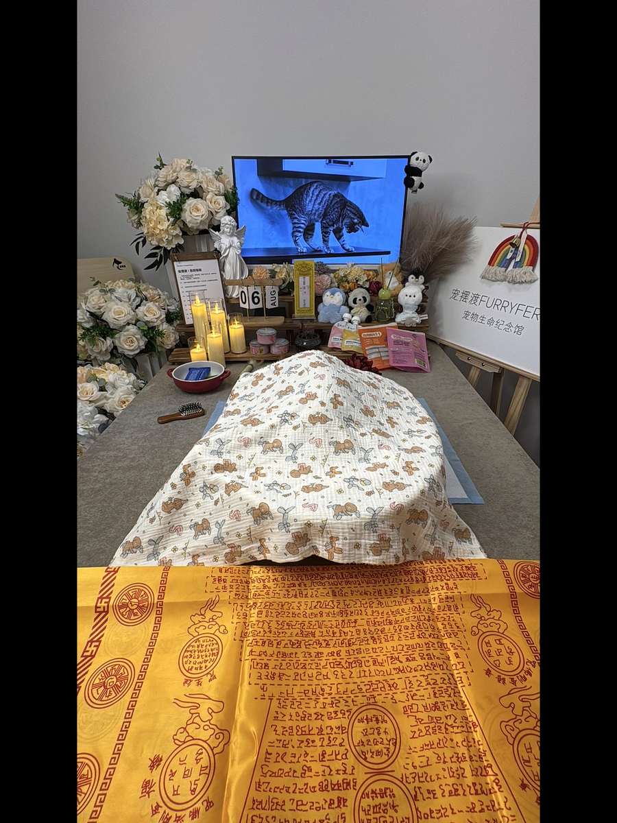 深圳告别厅实景
